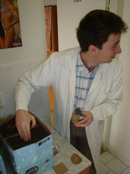Docent při práci.jpg