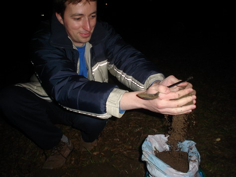 to je substrátek.JPG